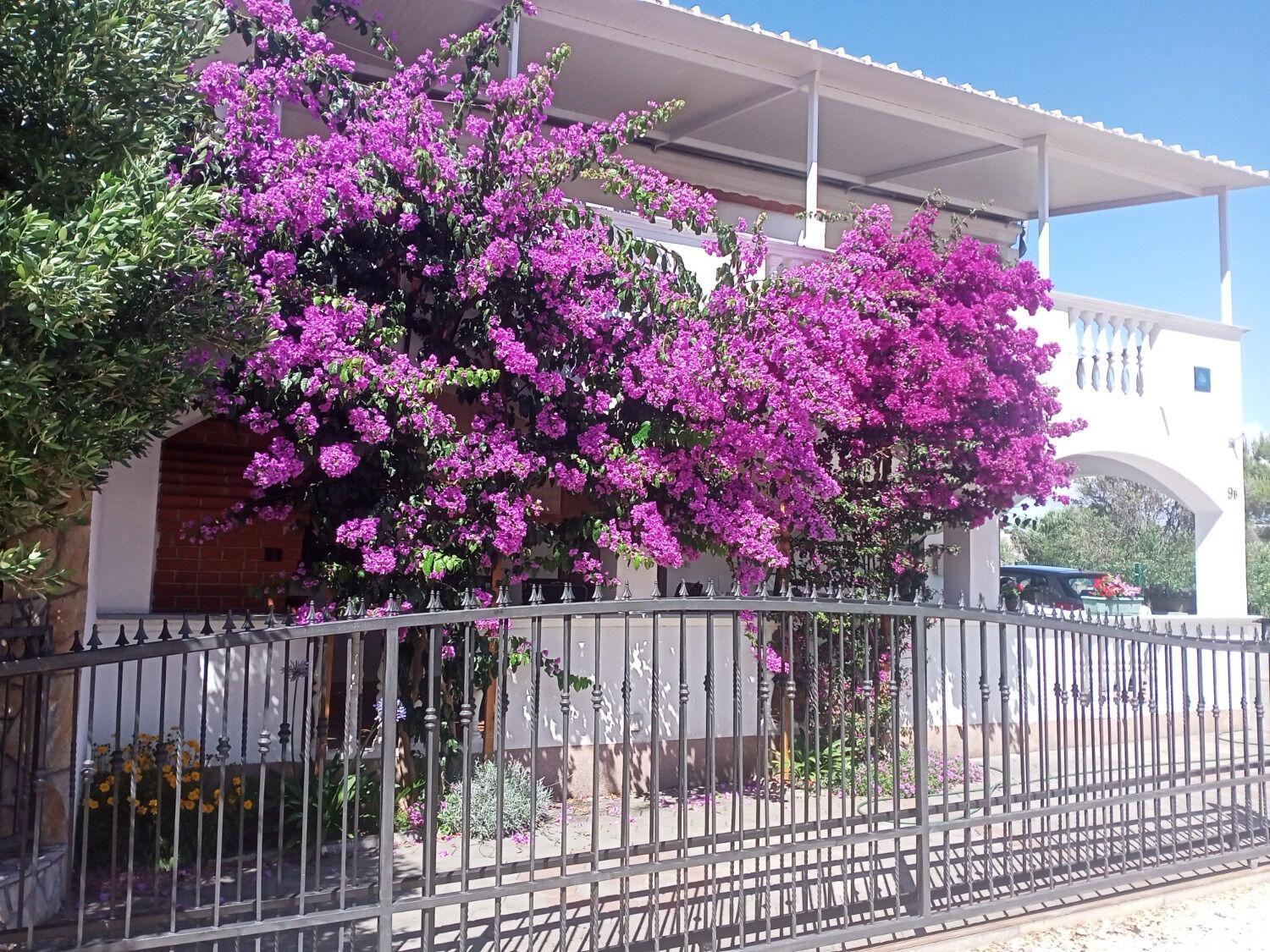 Apartments Marijan Drage Exterior foto